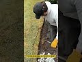 Creative Garden Edging with a Simple Tool