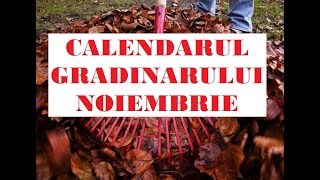 Calendarul gr?dinarului NOIEMBRIE/ Lucr?rile principale n gr?din? ?i livad?/ Ce plant?m/sem?n?m