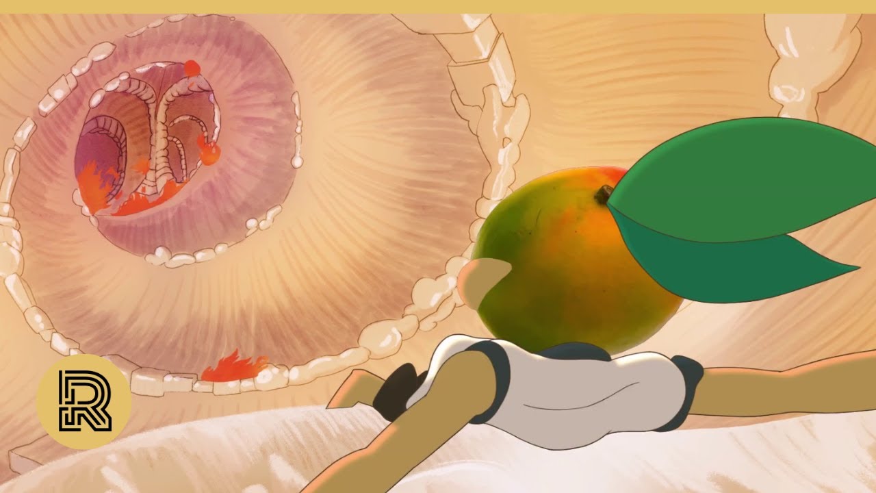 2D Animated Short: "Heads Full of Life" by School of Visual Arts | The Rookies