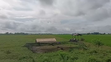 Roxas, Isabela - Third crops?