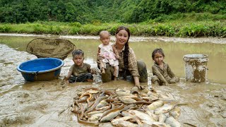 Full video: 30 days and nights of setting traps to catch giant fish and eels to sell at the market