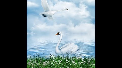 50 Mẫu Tranh 3D Khổ Đứng Tuyệt Đẹp Mới Nhất Phần 1