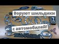 С автомобилей начали воровать шильдики