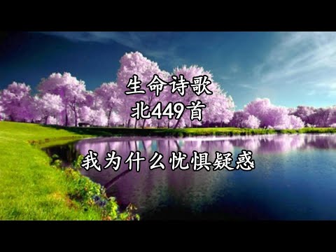 生命诗歌 北449 大597 我为什么忧惧疑惑