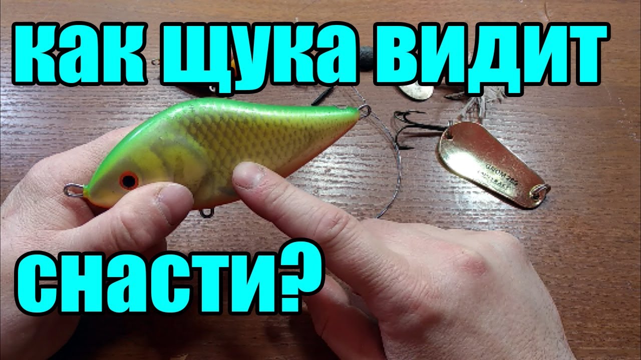 Как видит щука. Какие цвета видит щука.