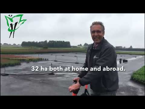 Hilverda De Boer Plants - Van Woudenberg Tuinplanten grower visit