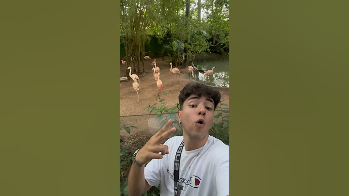 FUI NO ZOOLOGICO E OLHA O QUE ACONTECEU