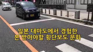 일본 &quot;대마도&quot;에서 경험한 본 받아야할 횡단보도 운전 습관 &amp; 문화