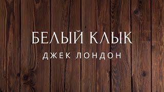 Белый клык Повесть Джек Лондон Аудиокниги