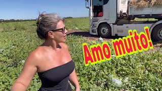 Tenho companhia na viagem! Primeira vez!