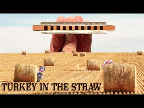 How to Play Turkey in the Straw on the Harmonica