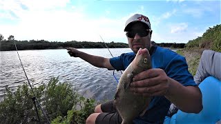 видео: Коли Кращий Кльов. Риболовля на Фідер на Десні картинка: Коли Кращий Кльов. Риболовля на Фідер на Десні