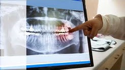 Emergency Dental Care | Brandon, FL - New Image General Dentistry 