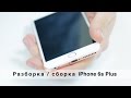 Полная разборка iPhone 6s Plus | Как самому разобрать айфон | iFix