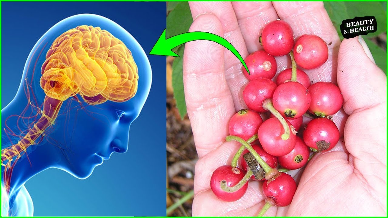 10 Amazing Health Benefits of Kerson Fruits You May Not Know! YouTube