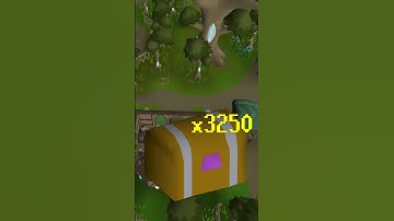 Why Nobody Will Ever Finish The Collection Log