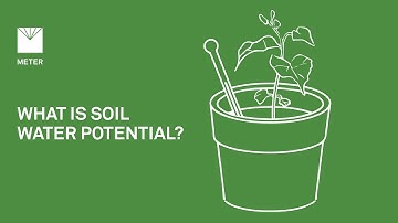What is soil water potential? - Explainer Video by METER