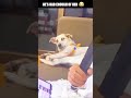 Am Rolling😂 #shorts #viral #funny