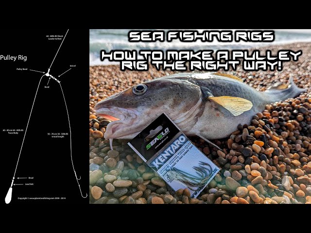 SEA FISHING RIGS - PULLEY RIG - TUTORIAL - THE RIGHT WAY! 
