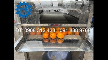 MÁY RỬA CAM CÔNG NGHIỆP KIỂU CON LĂN BÀN CHẢI. DÂY CHUYỀN MÁY RỬA CỦ QUẢ SỤC OZONE