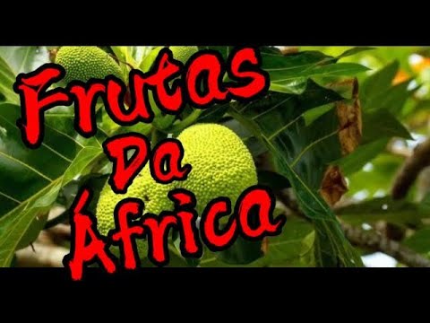 Video: Frutos De África: Foto Y Descripción