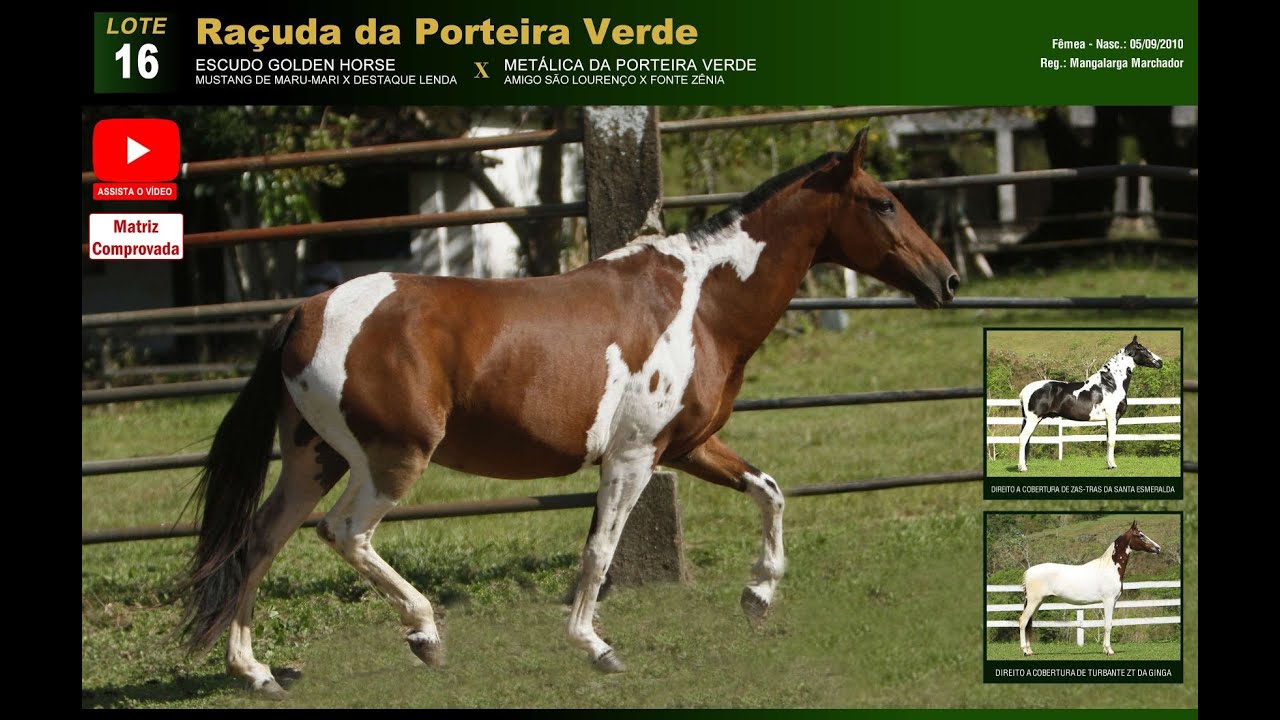 16   Raçuda da Porteira Verde