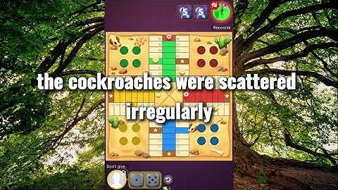 What is an experience you