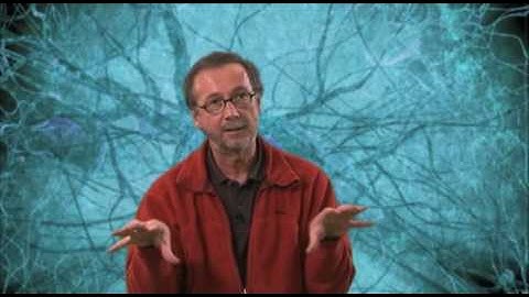 Does quantum physics go beyond causality? - Harald Atmanspacher, Chronicles 1