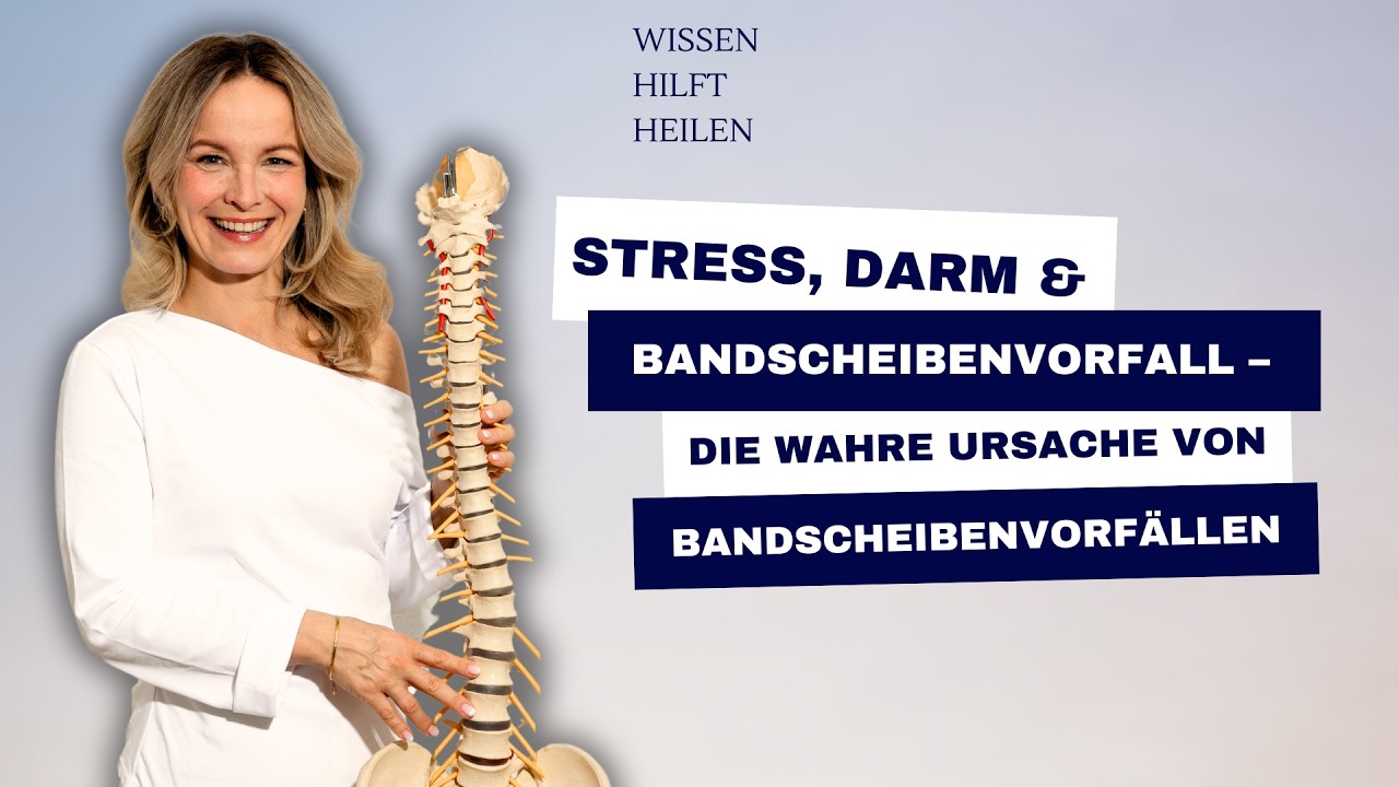 Stress, Darm & Bandscheibenvorfall – die wahre Ursache von Bandscheibenvorfällen
