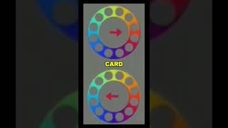 These Circles Are Not Moving But Your Brain Thinks They Are