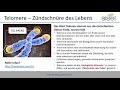 Was sind Telomere?