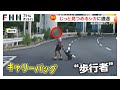 道路上でじっと見つめる鹿に遭遇しヒヤリ キャリーバッグ引きずり車道横断する 60代男性 の姿も 道路上でじっと見つめる鹿に遭遇しヒヤリ キャリーバッグ引きずり車道横断する 60代男性 の姿も