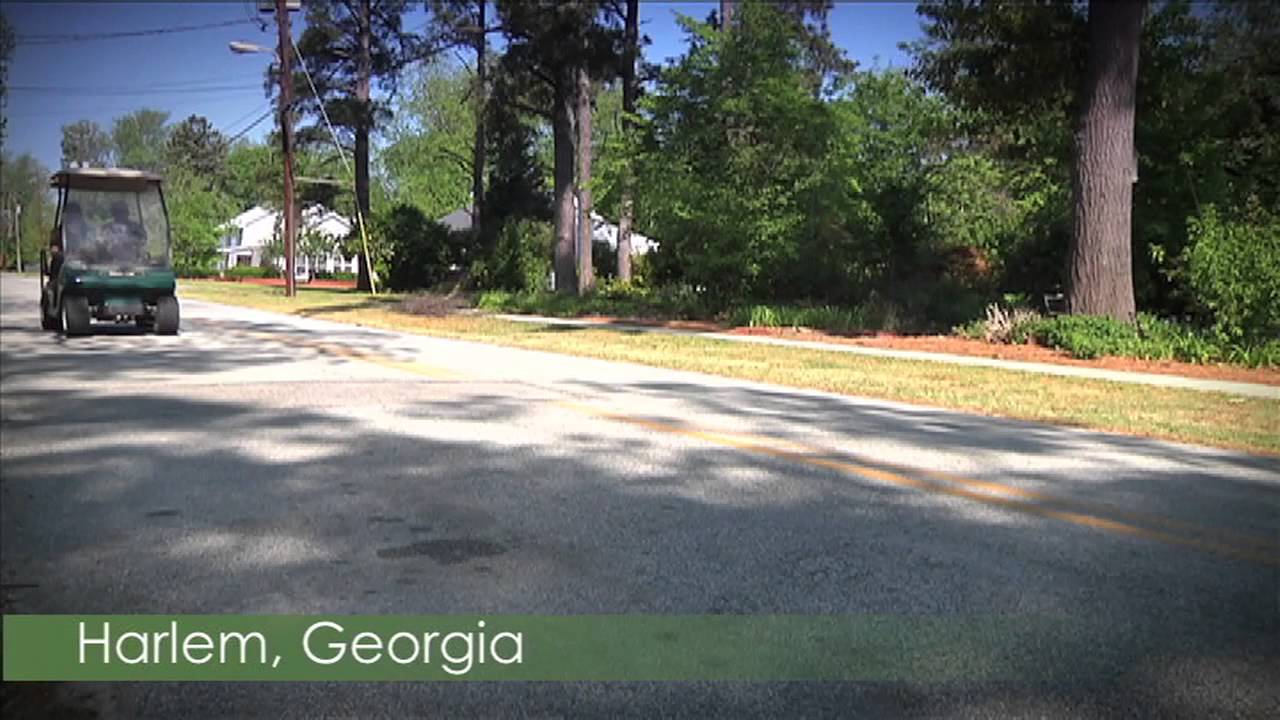 The Harlem, Lifestyle YouTube