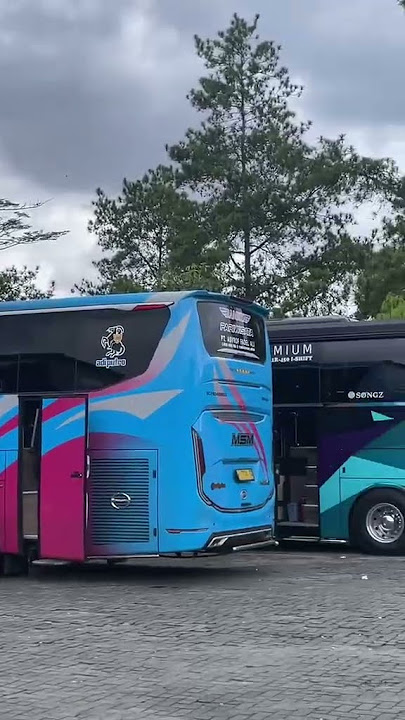 Story'WA bus mboiss 20 detik