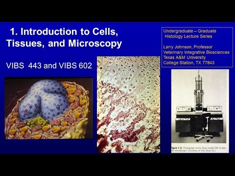 2. Introduction to Cells, Tissues, and Microscopy Lecture