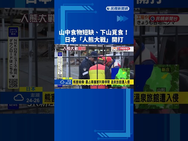 悚！日本「人熊攻防戰」 棕熊一掌拍凹汽車引擎蓋－民視新聞