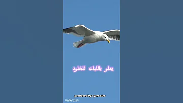 يا من وقعت الآن قم لا لا تقل فات الآوان 