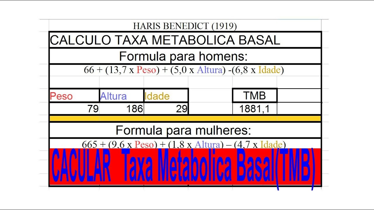 Especificidad Rosa una taza de O que é tmb e como calcular a taxa metabolica basal - YouTube