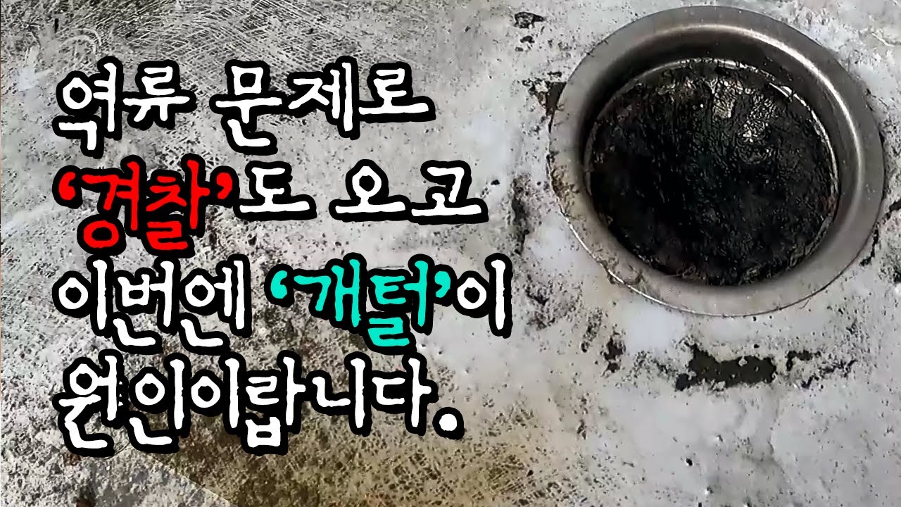 필로티 빌라 세탁실 역류, 우수관 연결·동결 진단 현장 영상 썸네일