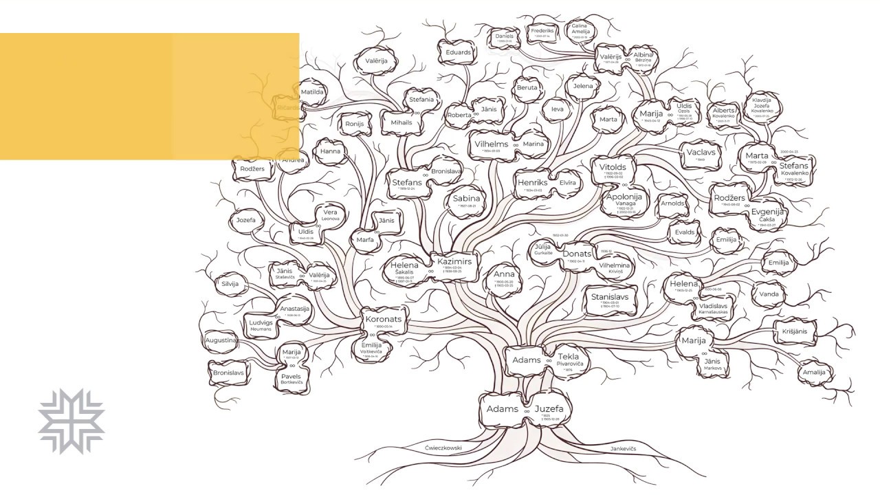 Древо рода картинки шаблоны