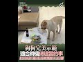 完美示範「適合時機做適當的事」