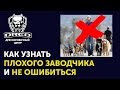 Как не обжечься при покупке собаки | Какими не должны быть заводчики |  На что обращать внимание