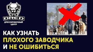 Как не обжечься при покупке собаки | Какими не должны быть заводчики |  На что обращать внимание