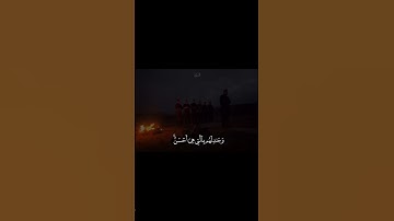 سورة النحل الآية (125) ... أكتب شي تؤجر عليه #القرآن_الكريم #تلاوة_خاشعة #اجر_لي_ولك #سورة_النحل