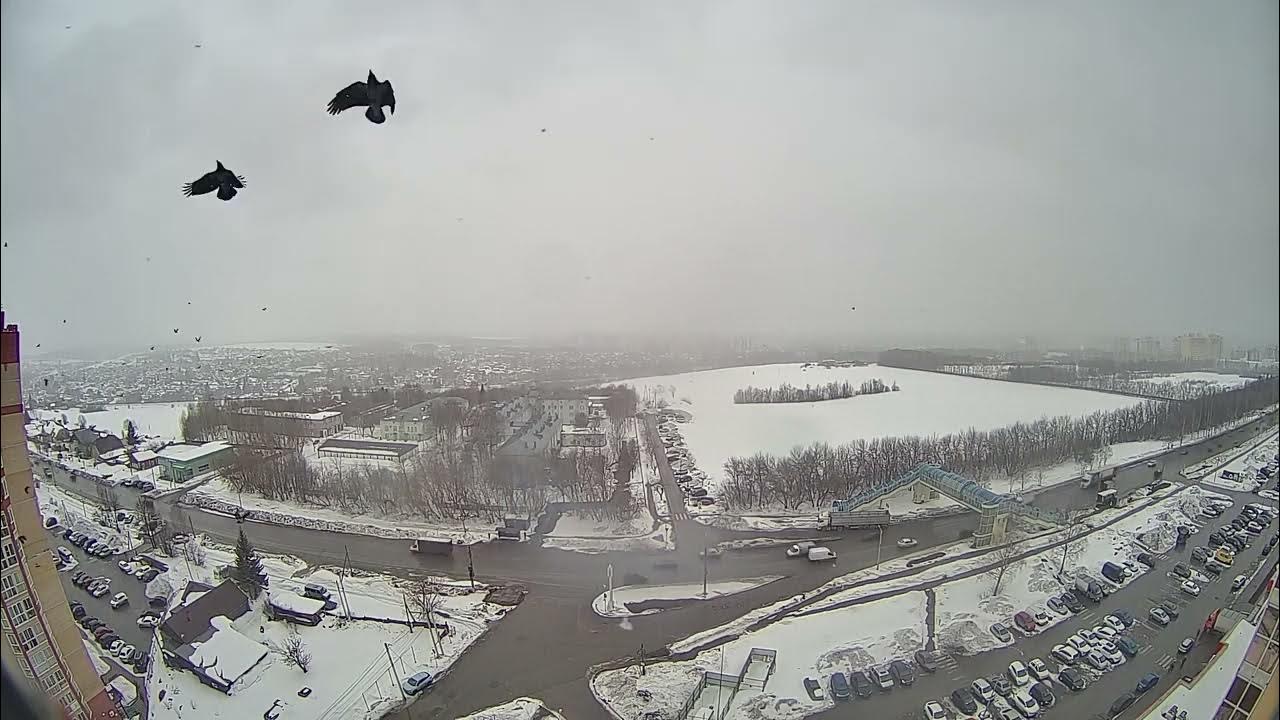 8 марта киров происшествия