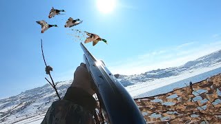 Ördek Avi Müthi̇ş Vuruşlar Full Yeşi̇l Duck Hunting Утиная Охота صيد البط