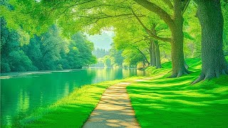 Uplifting and Calming Sounds #ChakraHealing | Serenity Soundscapes