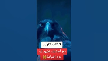 قران كريم يا الله 💔😳 #quran #اكسبلور #المصحف #الشيخ #لايك #القران_الكريم #قرآن