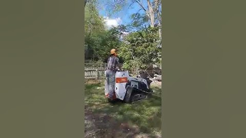 Tight Drop Zone, Tree Felling.