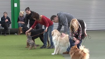 CIDBT 4005 Professional Instructor Skills and Management